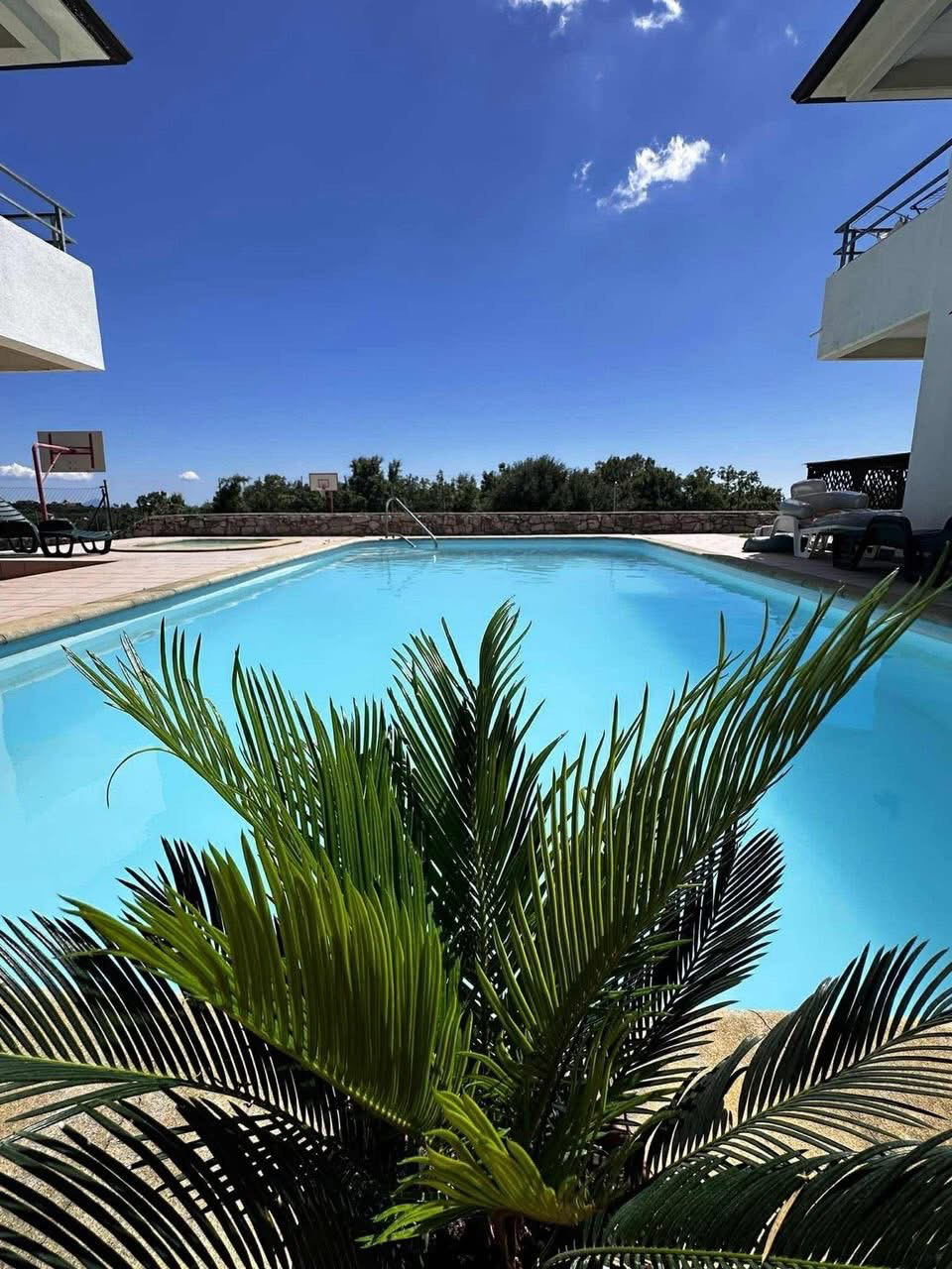 Bazén v areálu Apartmani Michelle Croatia